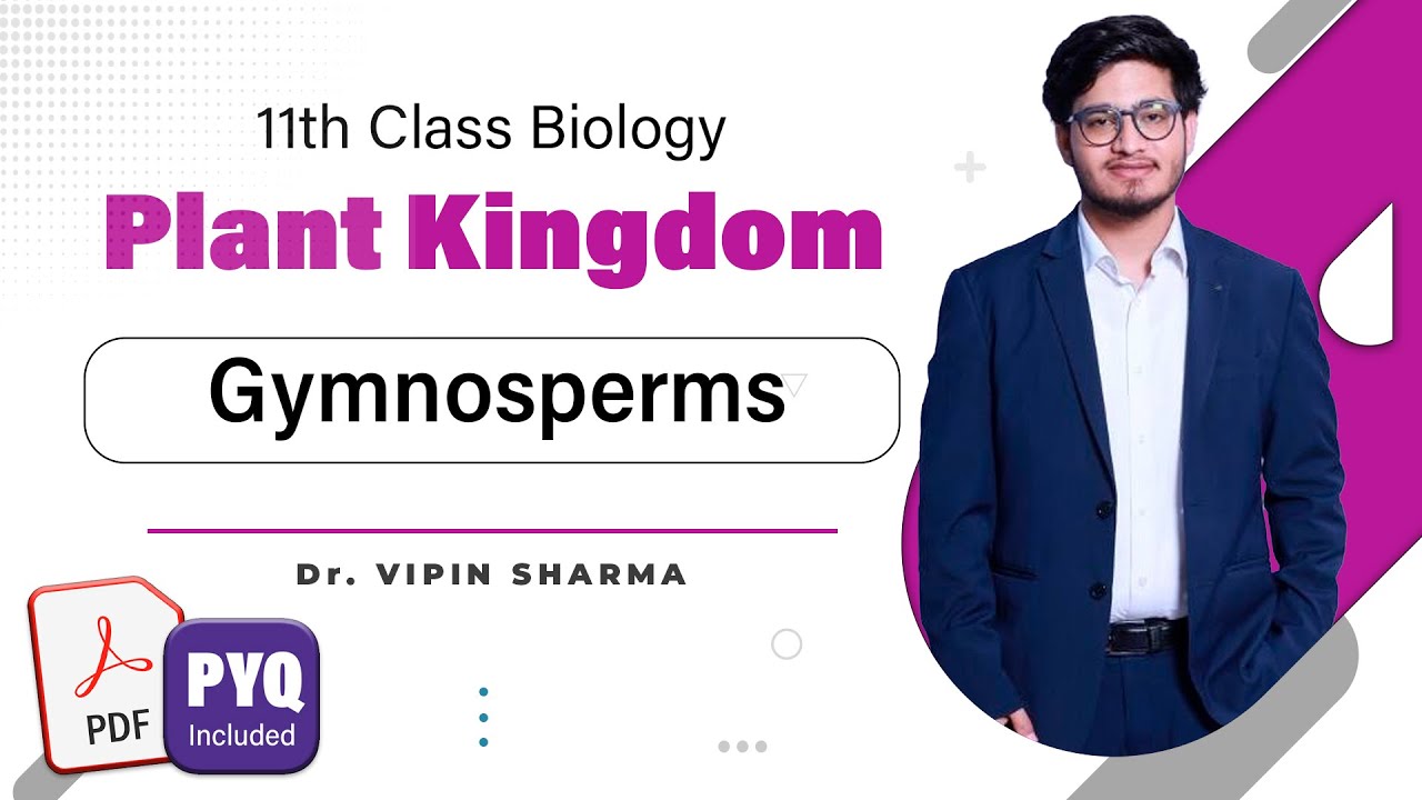 L5: Gymnosperms | Plant Kingdom | 11th Class Biology- HyperBiologist Batch ft. Vipin Sir #brilix