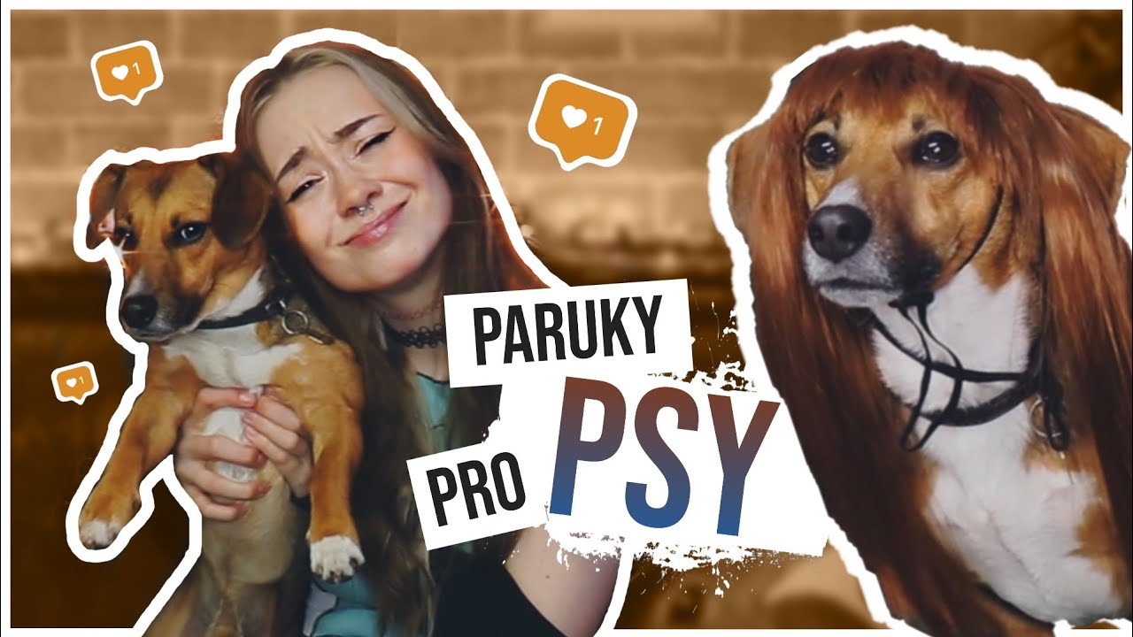 Zkou&scaron;&iacute;m PARUKY PRO PSY!
