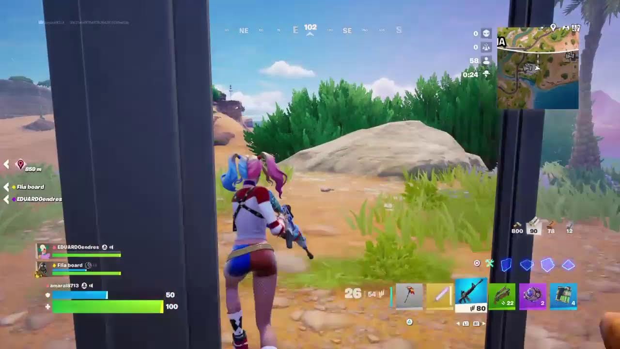 Fortnite Live amaral