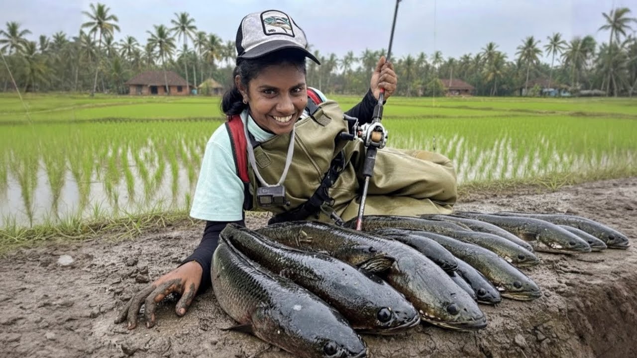 ഉഴുത് മറിച്ച കണ്ടത്തിലെ വരാൽ വേട്ട 😱 | fishing in farming feeld #new #youtube #fishing 