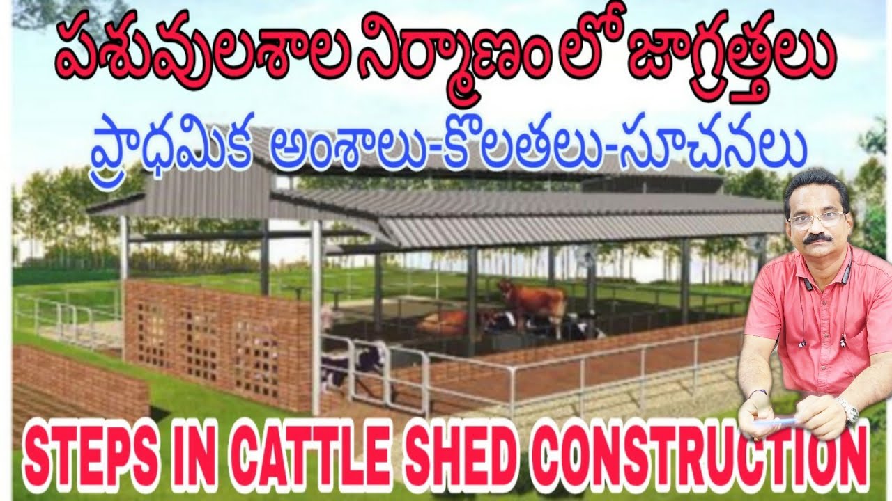 Cattle Shed Construction/Procedure/Measurements/Requirements/Precaustions