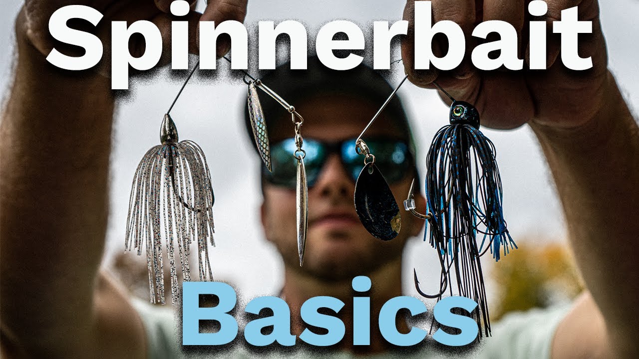How to pick THE RIGHT SPINNERBAIT