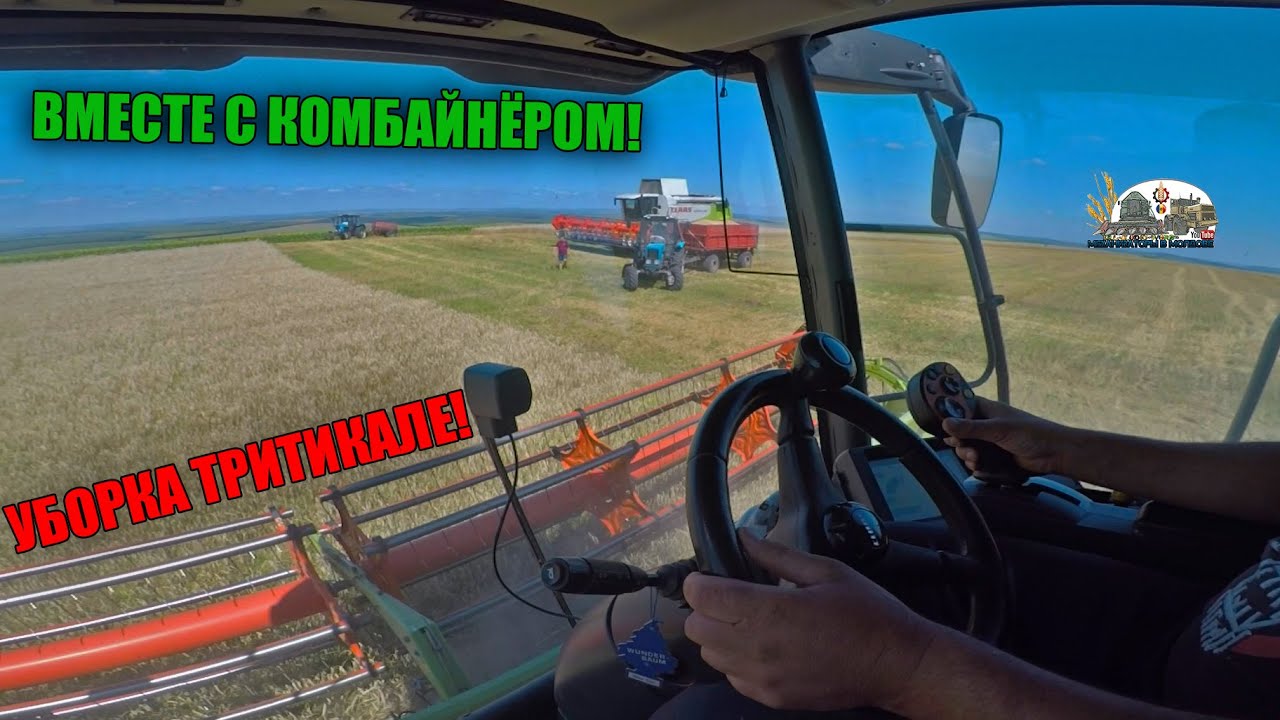 Первые впечатление от комбайна Claas Lexion 580!Убираем тритикале двумя комбайнами и 5 тракторами!