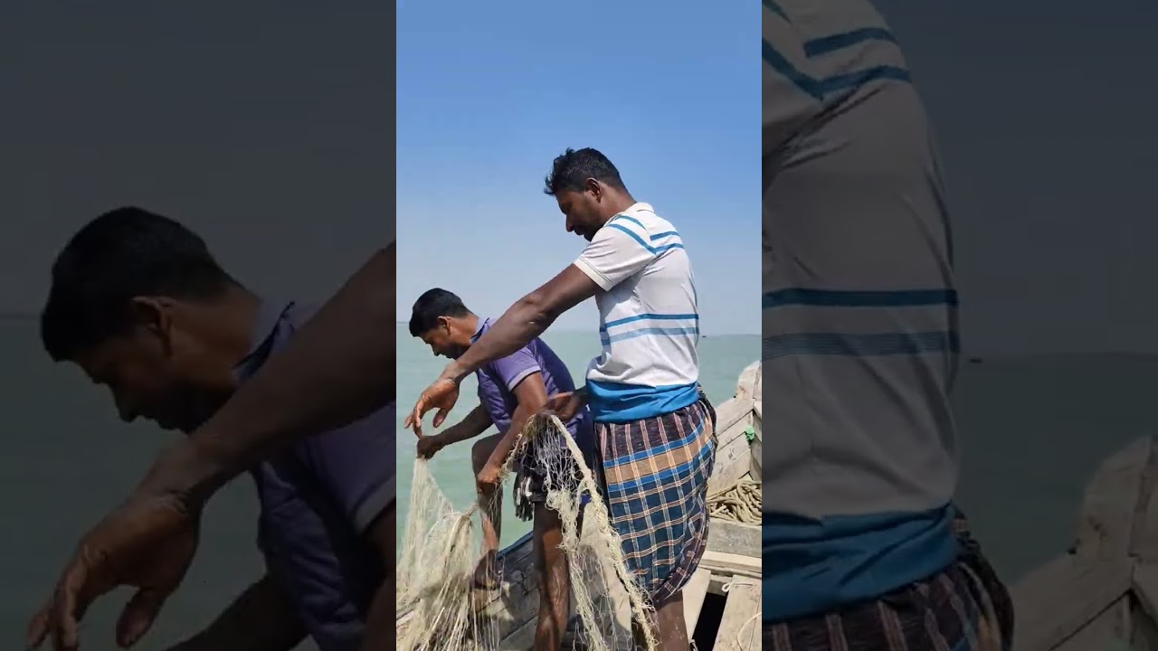 মাশাল্লাহ আজকে অনেক মাছ পাওয়া গেল #viralvideo 