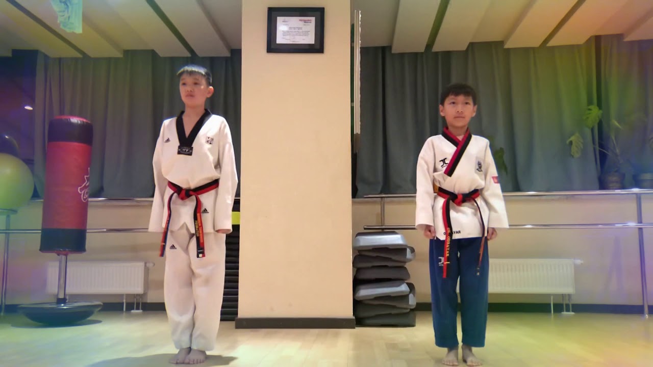 Kibon 1, 2, 3 /Taekwondo Family/