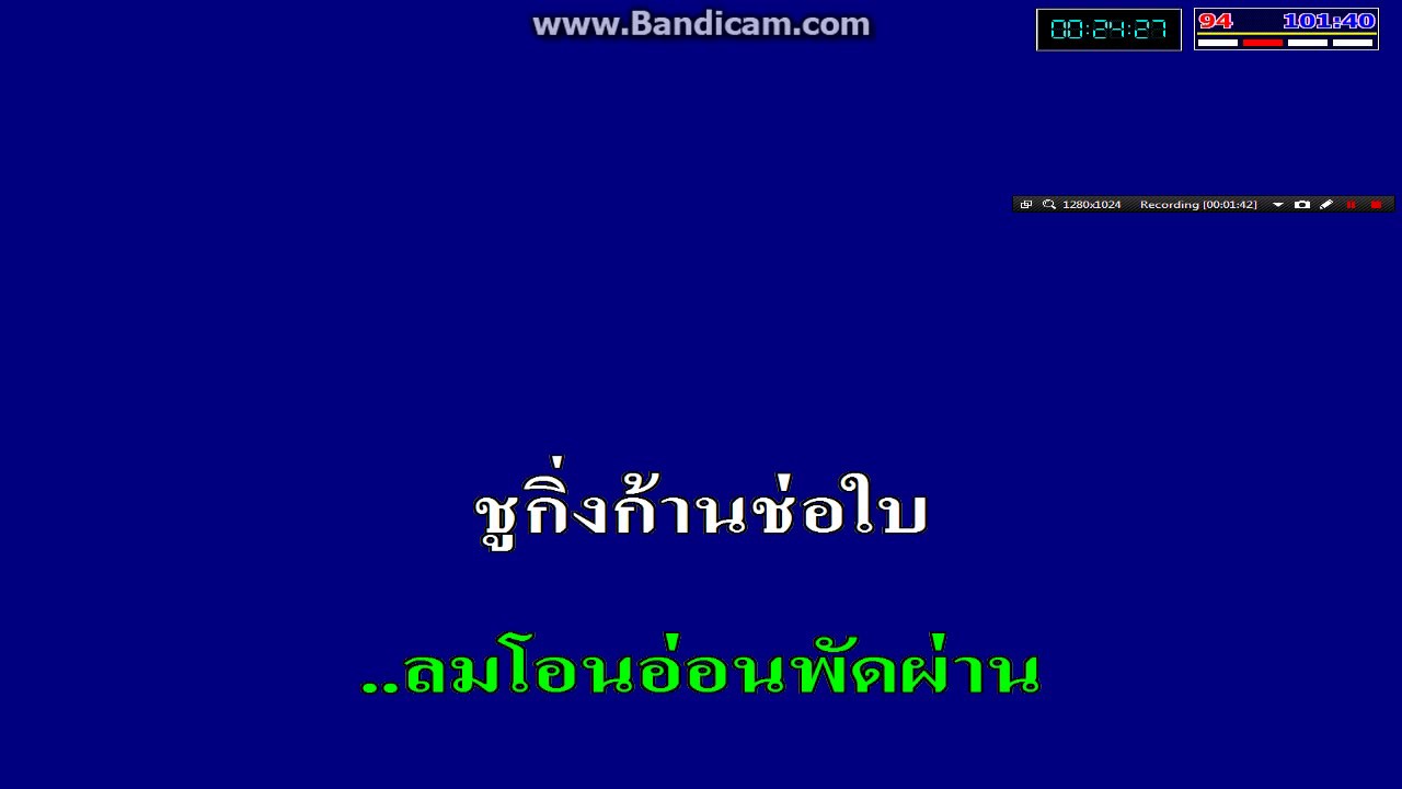 นัดพบ วงดนตรีหมูแม้ว