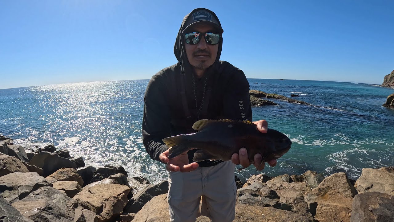 Dana point harbor fishing! PB Opaleye🎣
