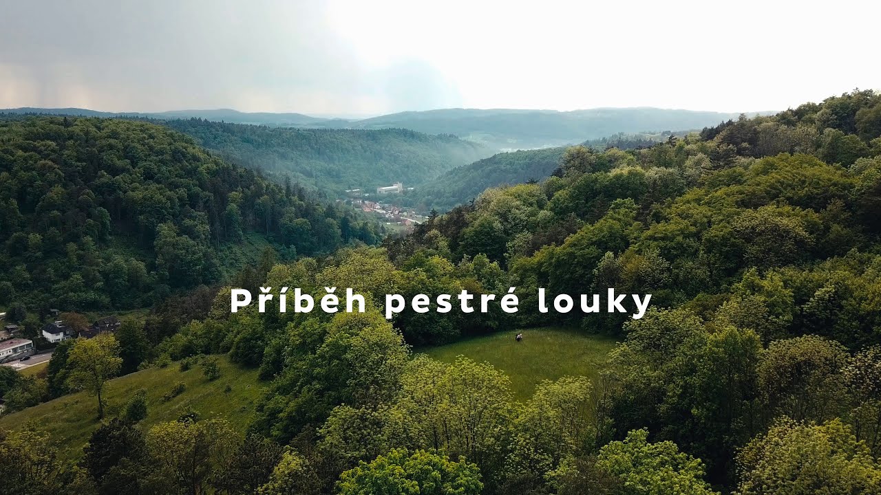 Příběh pestré louky