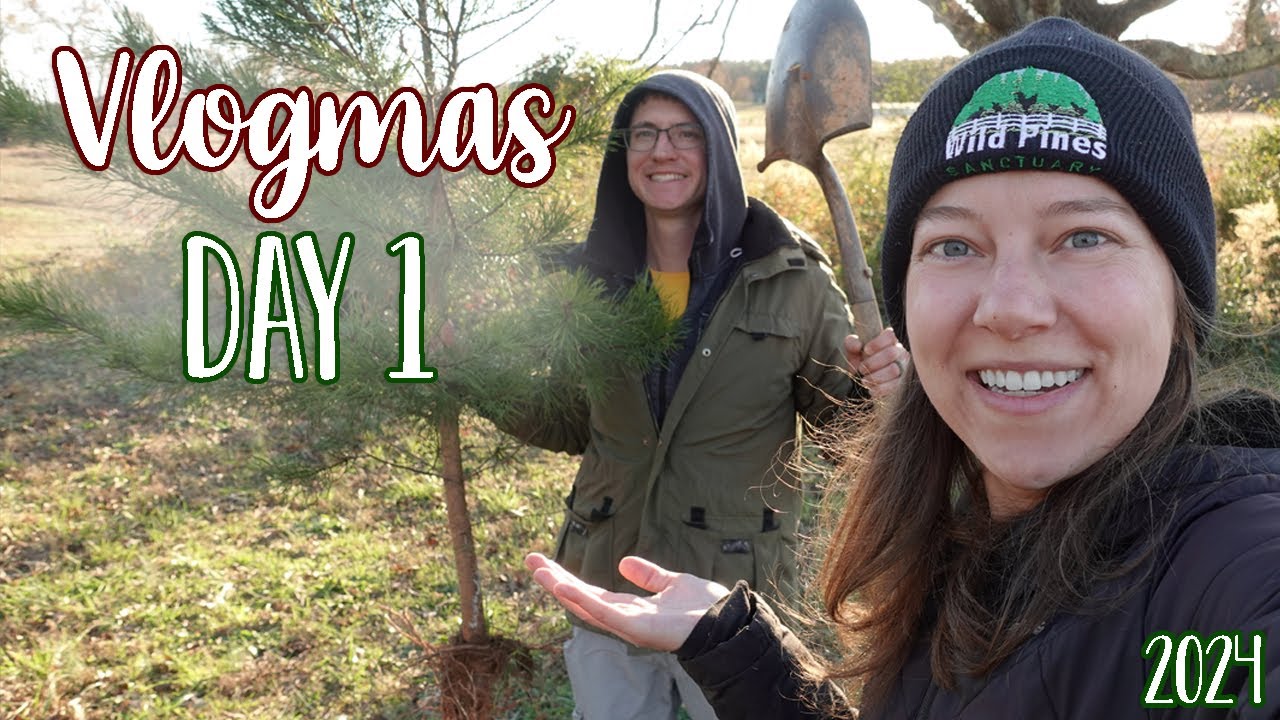 Searching for a LIVE Christmas Tree! | Vlogmas Day 1 | Ohcluck