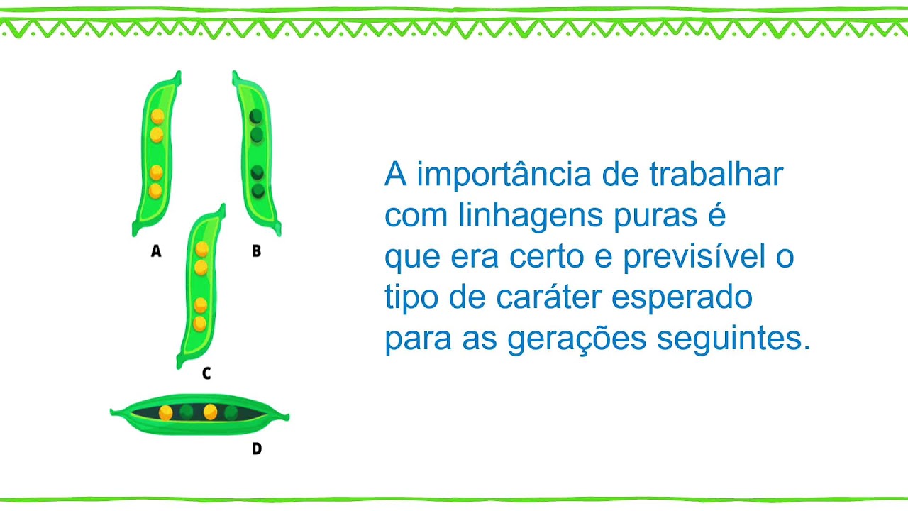 🔴 MANHÃ - CIÊNCIAS - 25.02.26 - 9º Ano - AULA 02