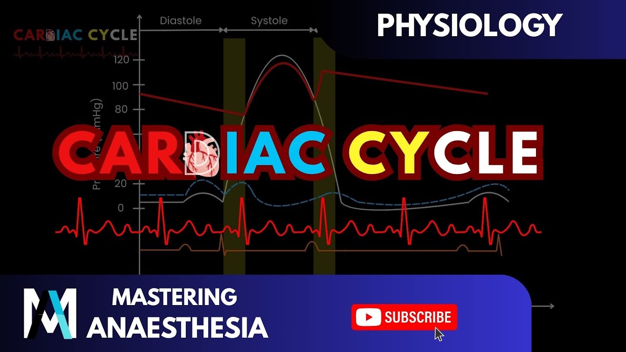 Cardiac Cycle EXPLAINED | Cardiovascular System Physiology Made Easy
