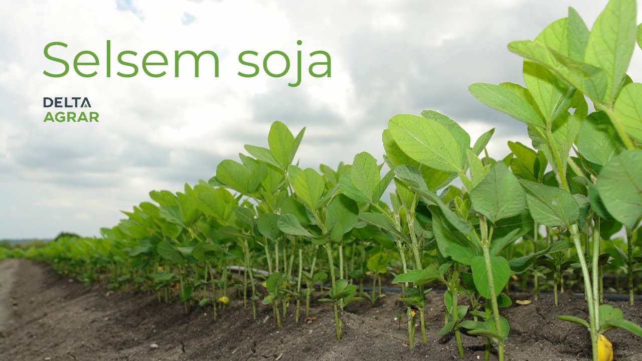 Selsem soja uliva ratarima poverenje