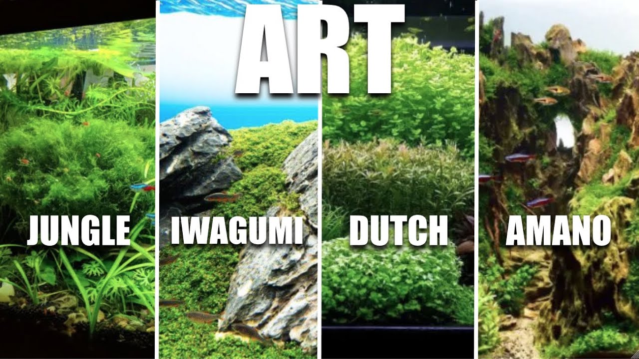 The 4 Main Styles Of Aquascaping Art