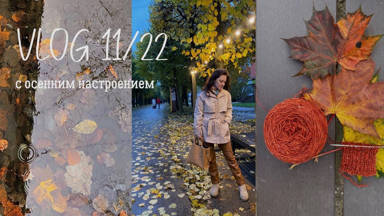 Влог 11/22: новый процесс, перчатки, Soft Donegal Tweed, прогулки по Смоленску