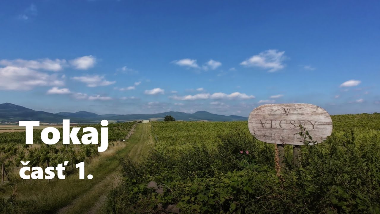 Cyklovýlet po Tokaji