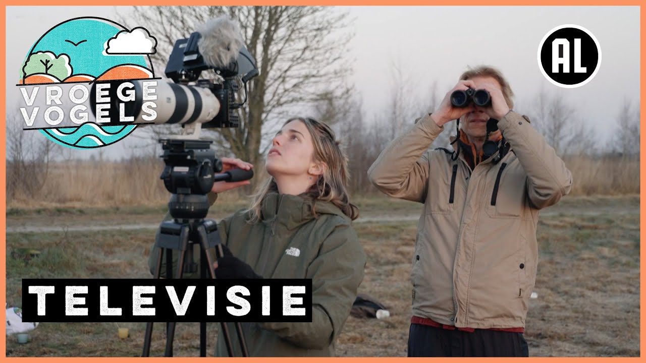 Kraanvogels broeden in het Bargerveen | TV | Vroege Vogels