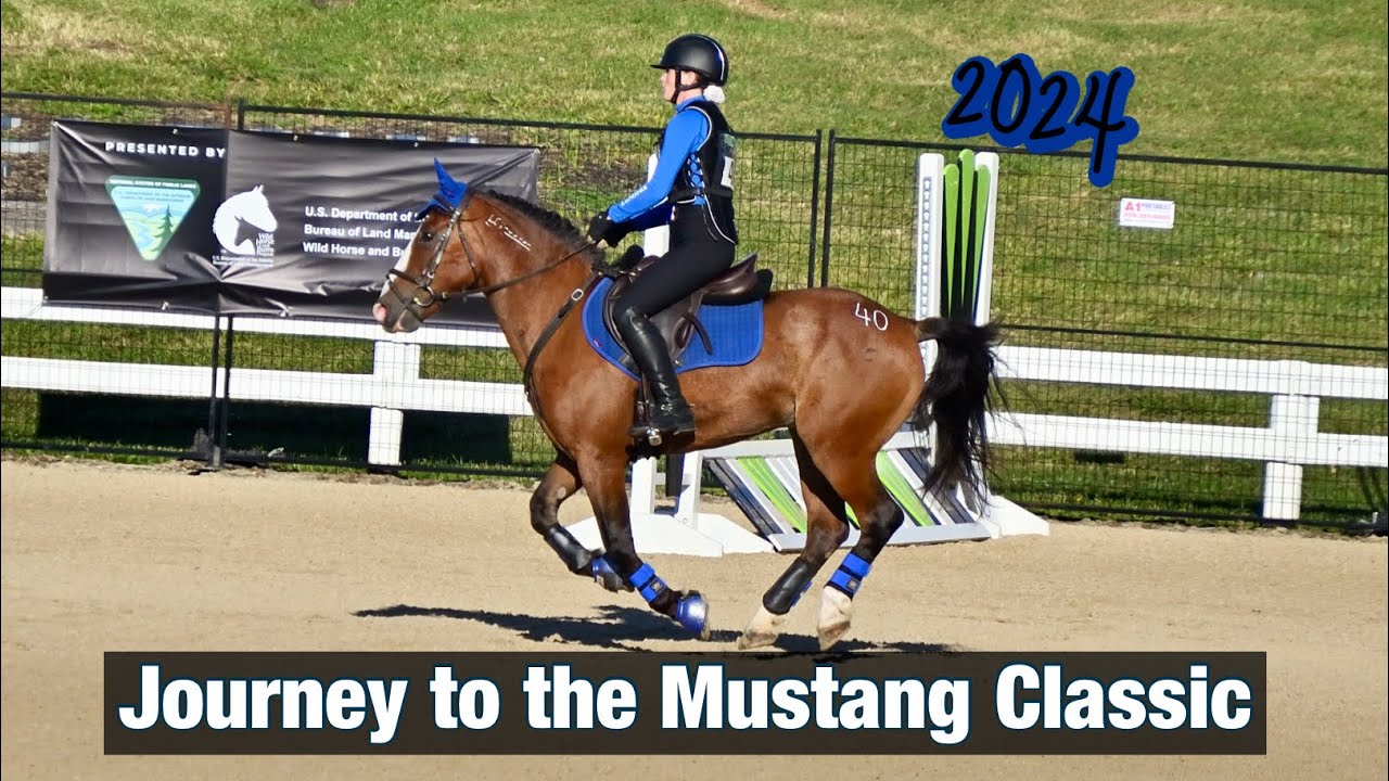 Kookie’s Journey to the 2024 Mustang Classic