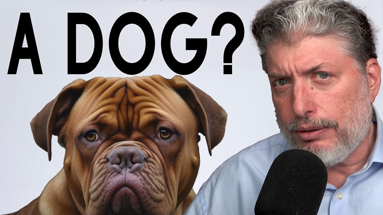 Why Did Jesus Call Gentiles ‘Dogs’? –Rabbi Tovia Singer Responds