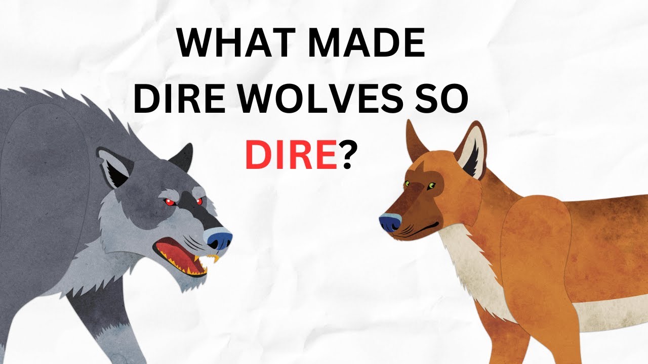 WHAT MADE DIRE WOLVES SO DIRE?