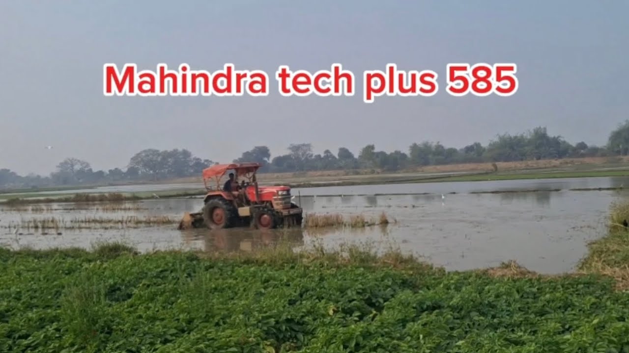Mahindra tech plus 585 কাঁদাতে কেমন চাষ দিচ্ছে দেখো।