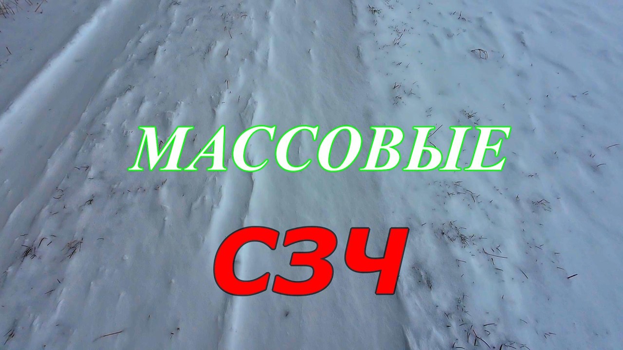 Почему люди массово идут в СЗЧ