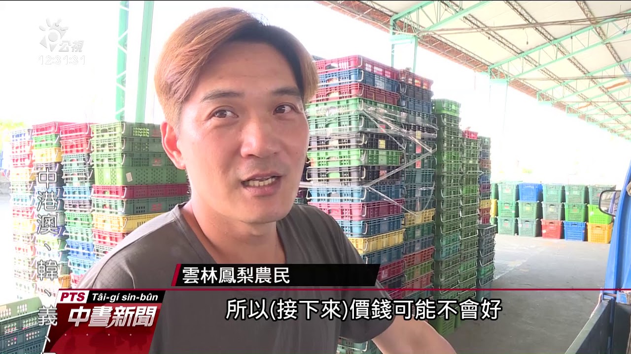 鳳梨產季將至 雲林縣府啟動收購計畫 20200303 公視中晝新聞