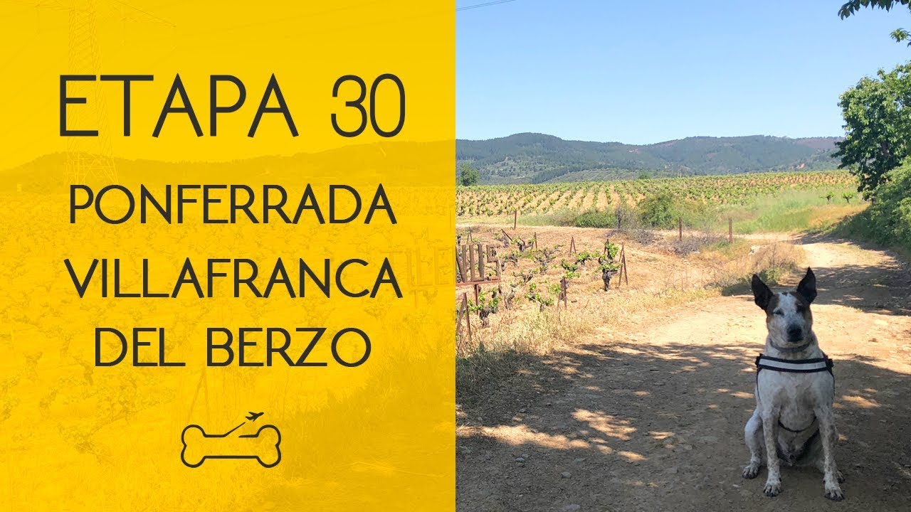 ETAPA 30: PONFERRADA A VILLAFRANCA DEL BIERZO | Camino de Santiago con perro