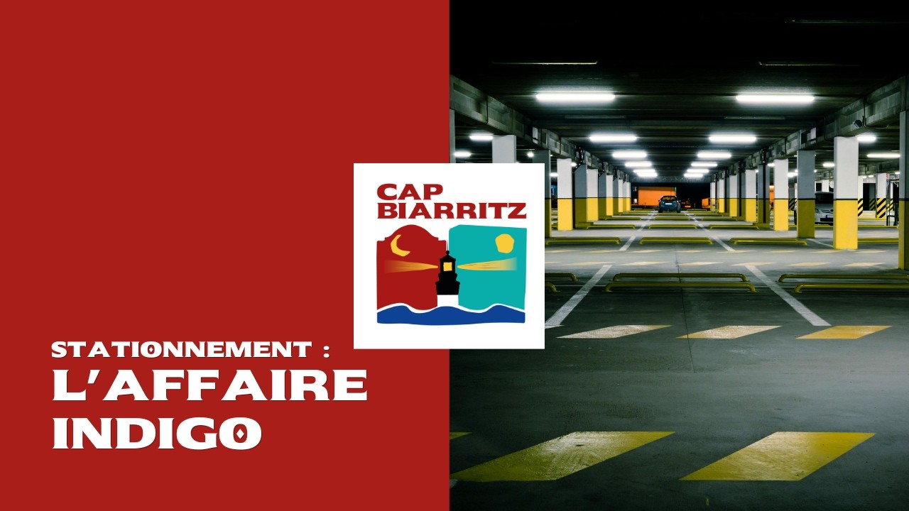 L'affaire Indigo