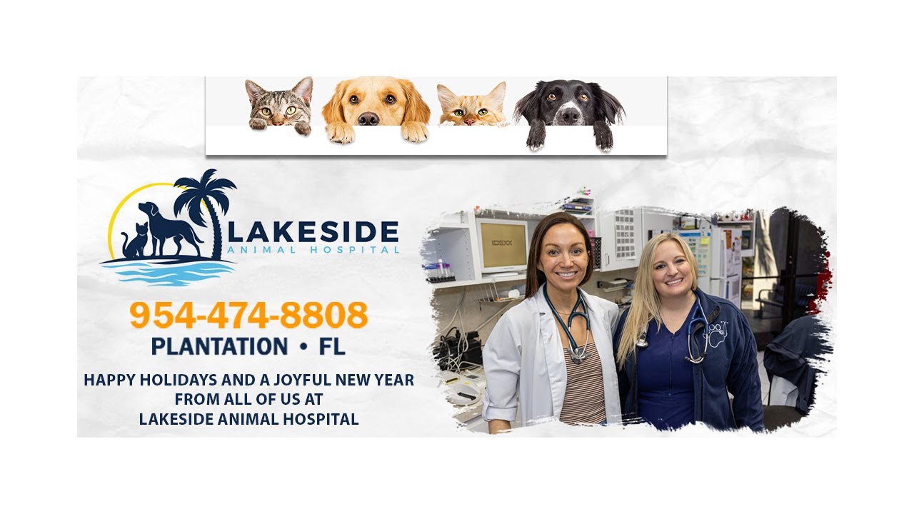 LAKESIDE ANIMAL HOSPITAL