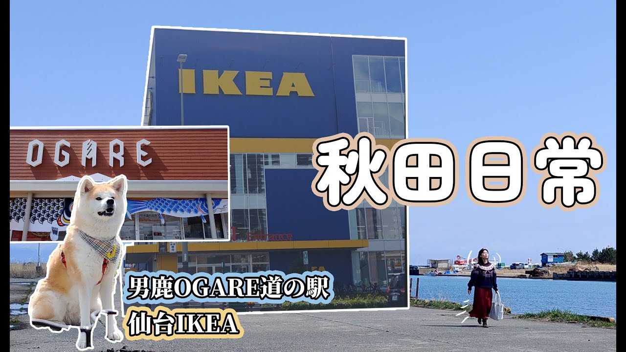 [日本留學]秋田日常 | 男鹿OGARE道の駅 | 親親秋田犬 | 好平的男鹿紅楚蟹 | 仙台IKEA | Akita Vlog | Oga & Sendai
