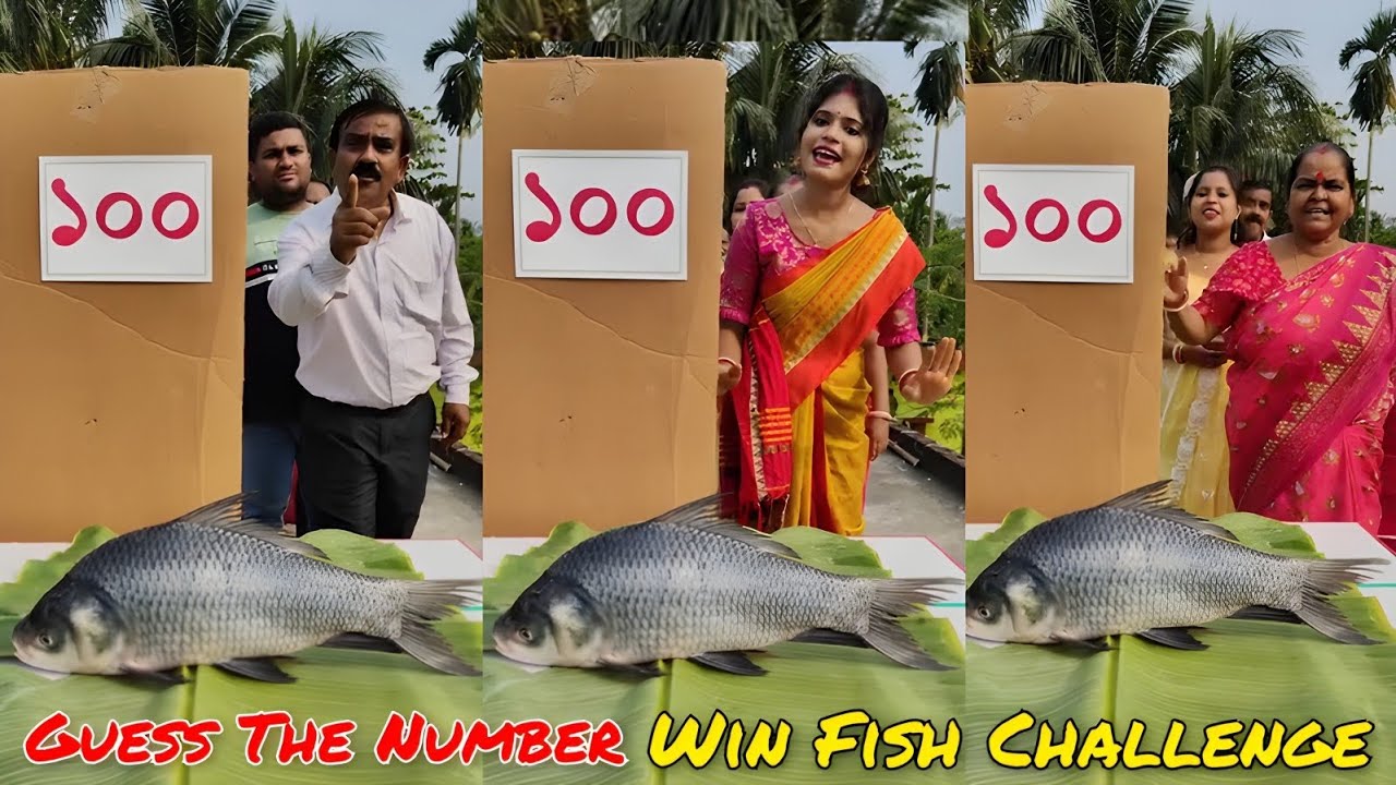Guess The Number Win Fish Challenge 🤔| সংখ্যা অনুমান করুন মাছ চ্যালেঞ্জ জয় করুন/ SK Challenge Video