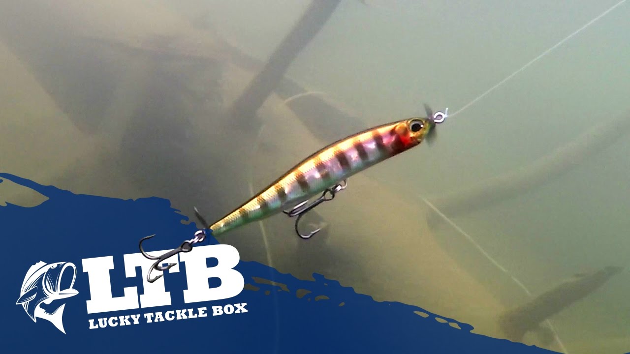 How To Spybait