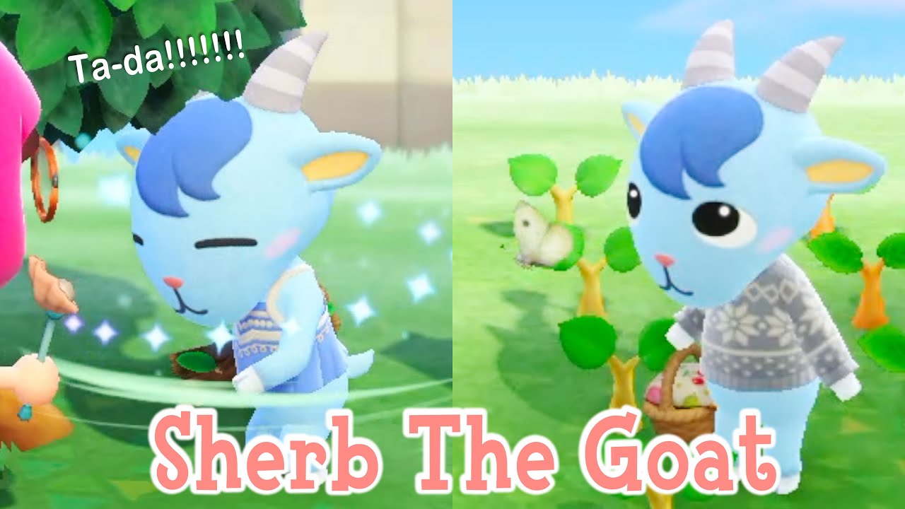 Sherb The Goat #01 Lazy Villager Animal Crossing New Horizons ACNH