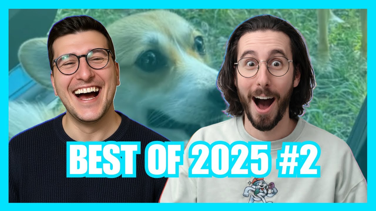 Best of 2025 des potals - Les moments les plus fous!