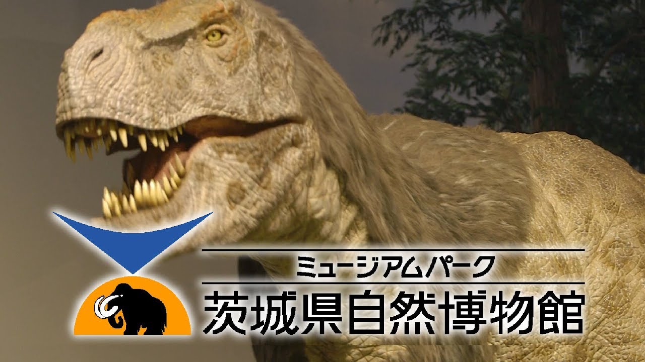ミュージアムパーク茨城県自然博物館 （坂東市）-2017年リニューアル　Ibaraki Nature Museum