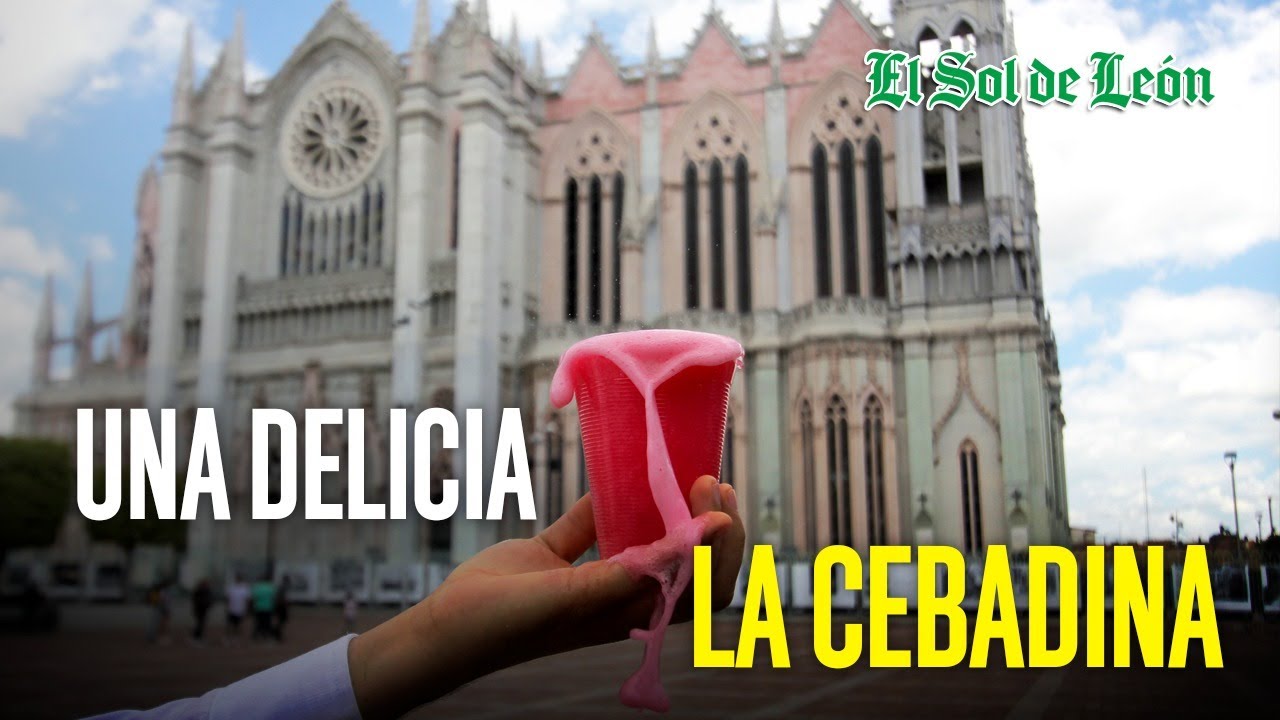 ¡Es una delicia! La Cebadina de León
