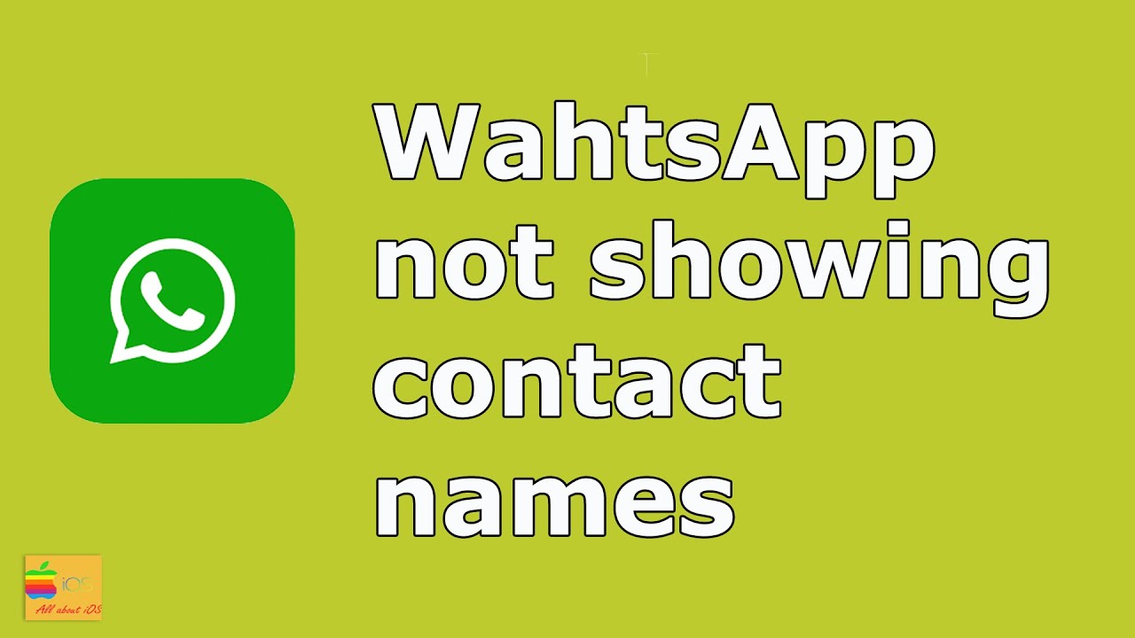 3 possible reasons why WhatsApp is not showing contact name | Fix the issue