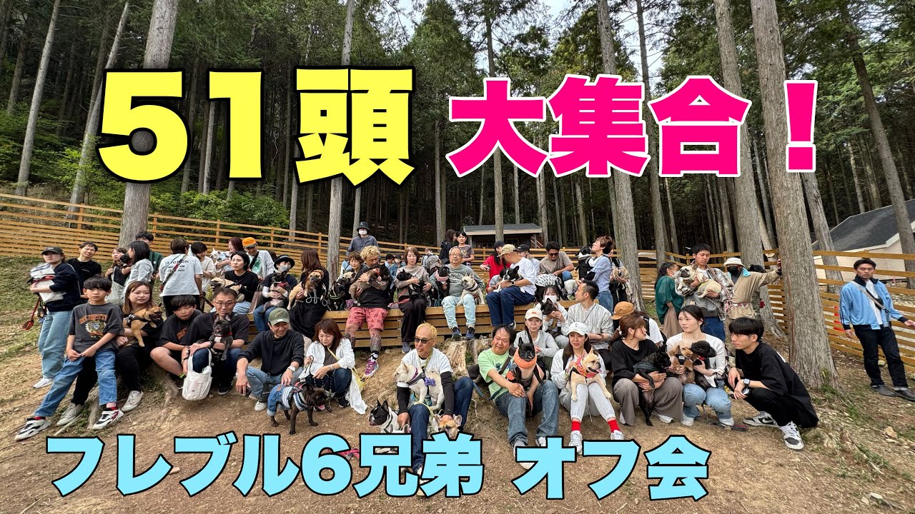 51頭の可愛いフレブルちゃんにパワーをもらった1日！第5回フレブル6兄弟オフ会開催