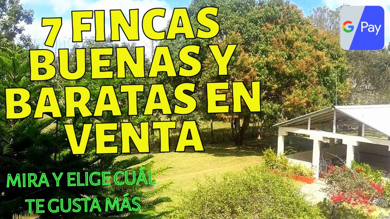 7 FINCAS BARATAS EN VENTA ESPECIAL Compra y Venta de Bienes Raíces