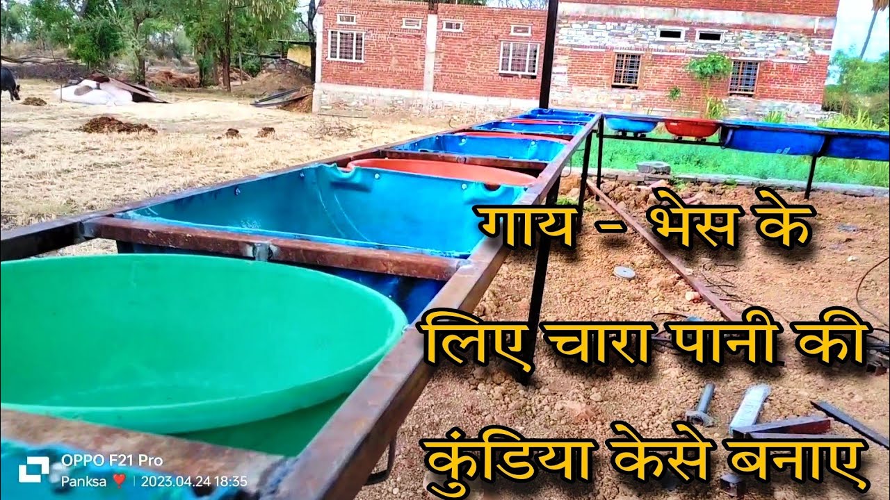 गाय -भेस के लिए चारा पानी की कुंडी केसे बनाए ड्रम से !@PANKSA_VLOGS