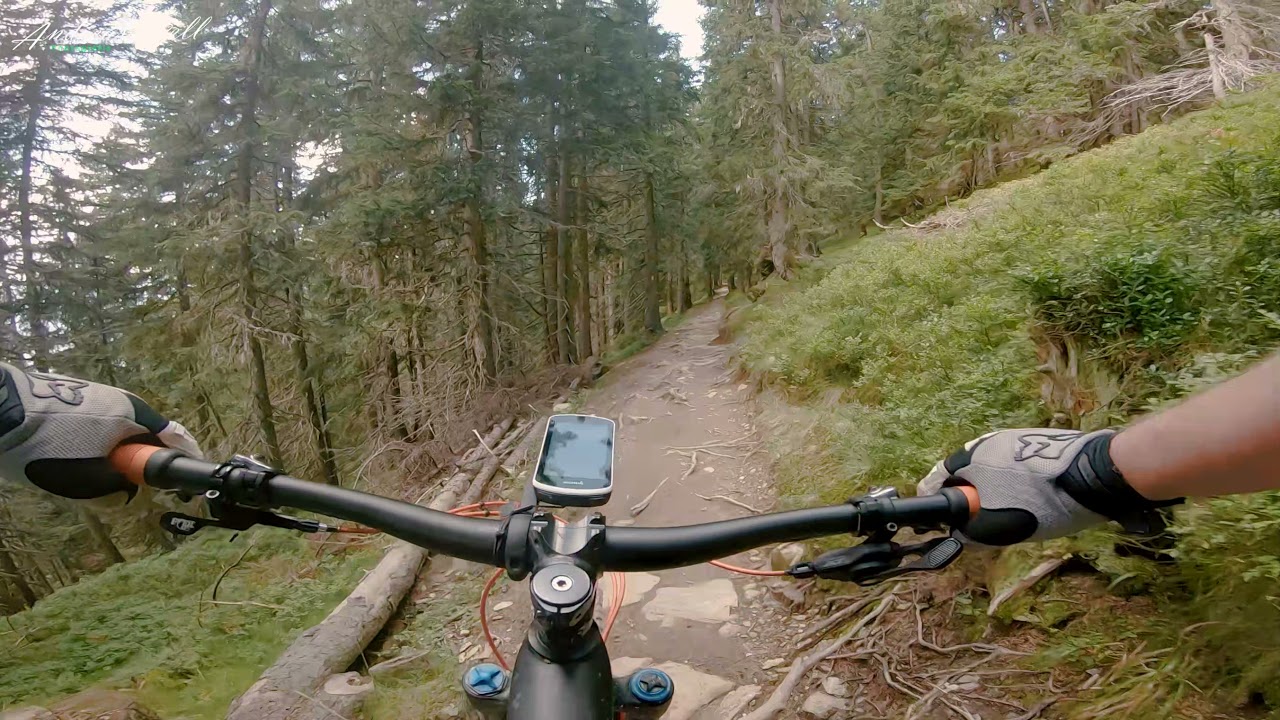 Home of Lässig | Asitz Trail, Wurzel Trail | Cube Stereo 150 TM