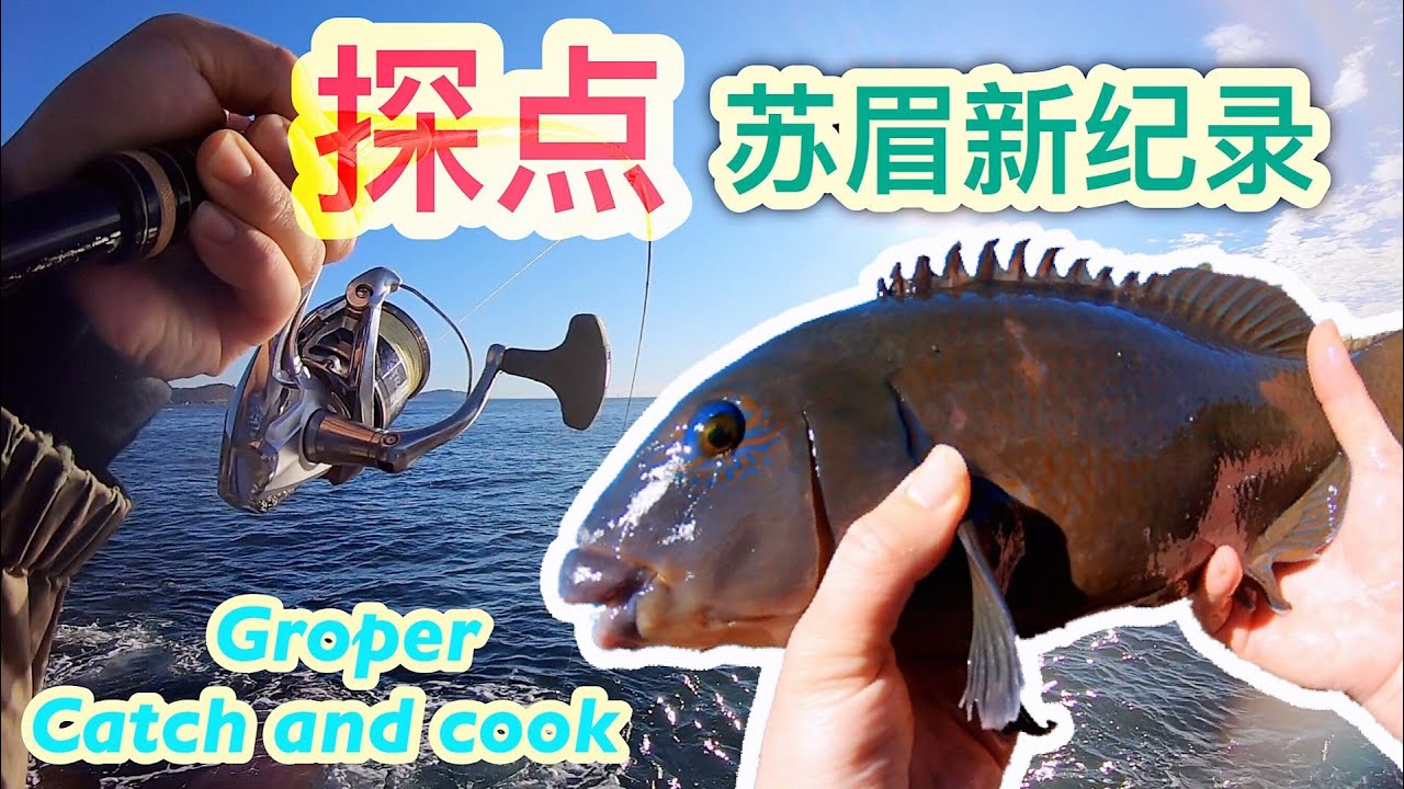 【jack's fishing life vlog#16】悉尼矶钓，探点Avoca，喜提新记录苏眉，终于出运了！Sydeny ISO fishing for Groper catch and cook