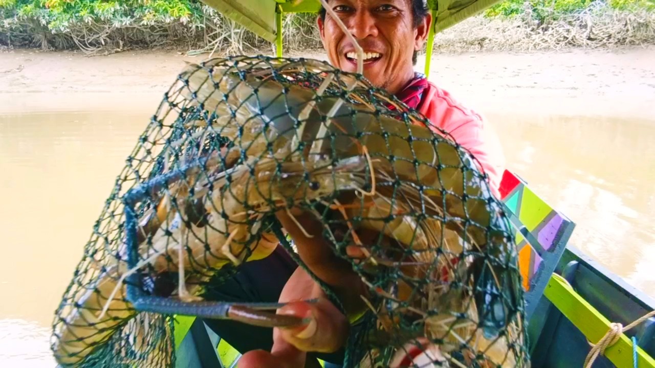 Jangan remehkan spot dangkal!!! Ada babon saat mancing udang galah#mancingudanggalah 