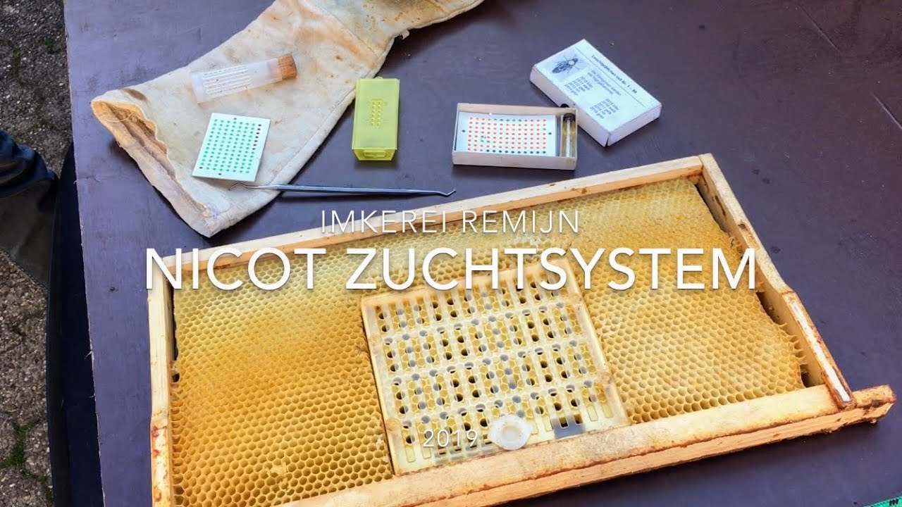 🐝 Nicot Zuchtsystem