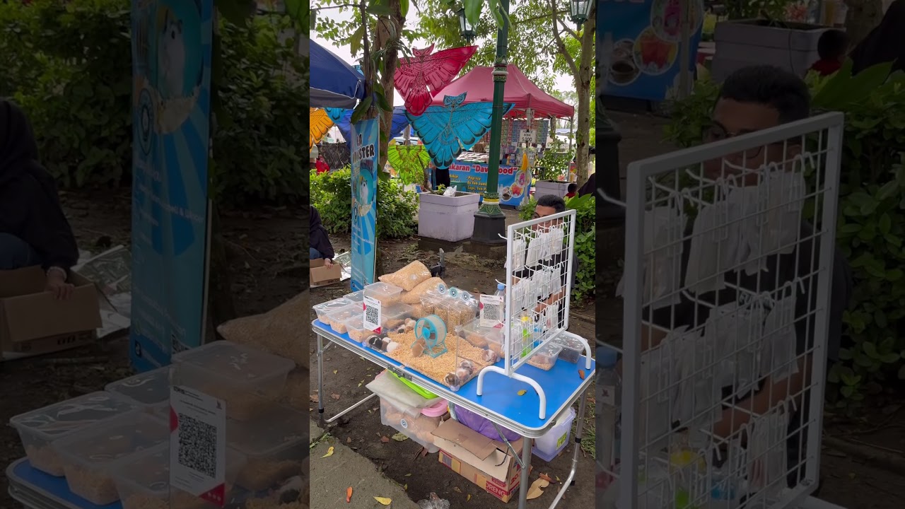 Hamster nya lucu banget #munculberanda #hamster #hewanlucu