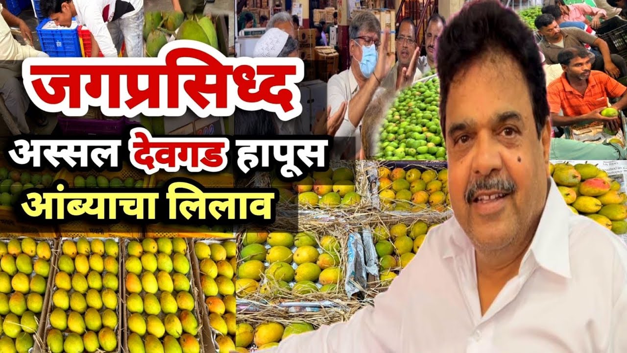 जगप्रसिध्द अस्सल देवगड हापूस आंब्याचा लिलाव 2024 🥭🥭🥭हापूस आंबा स्वस्त दरात कुठे मिळेल🙏