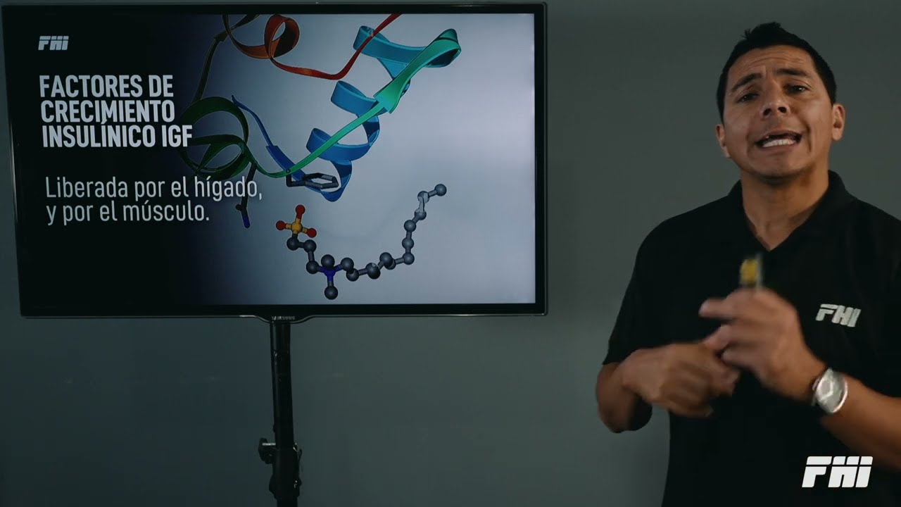 FACTORES DE CRECIMIENTO PARA EL AUMENTO DE LA MASA MUSCULAR