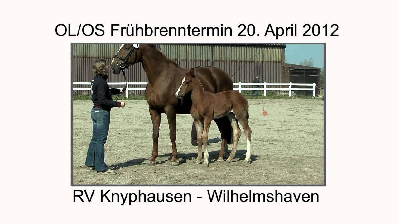 WHV_20_04_2012.mp4