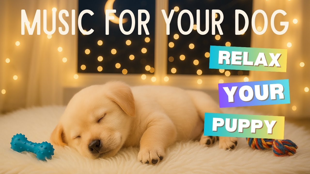 Soothing Music for Dogs | Cute Puppy Sleeping