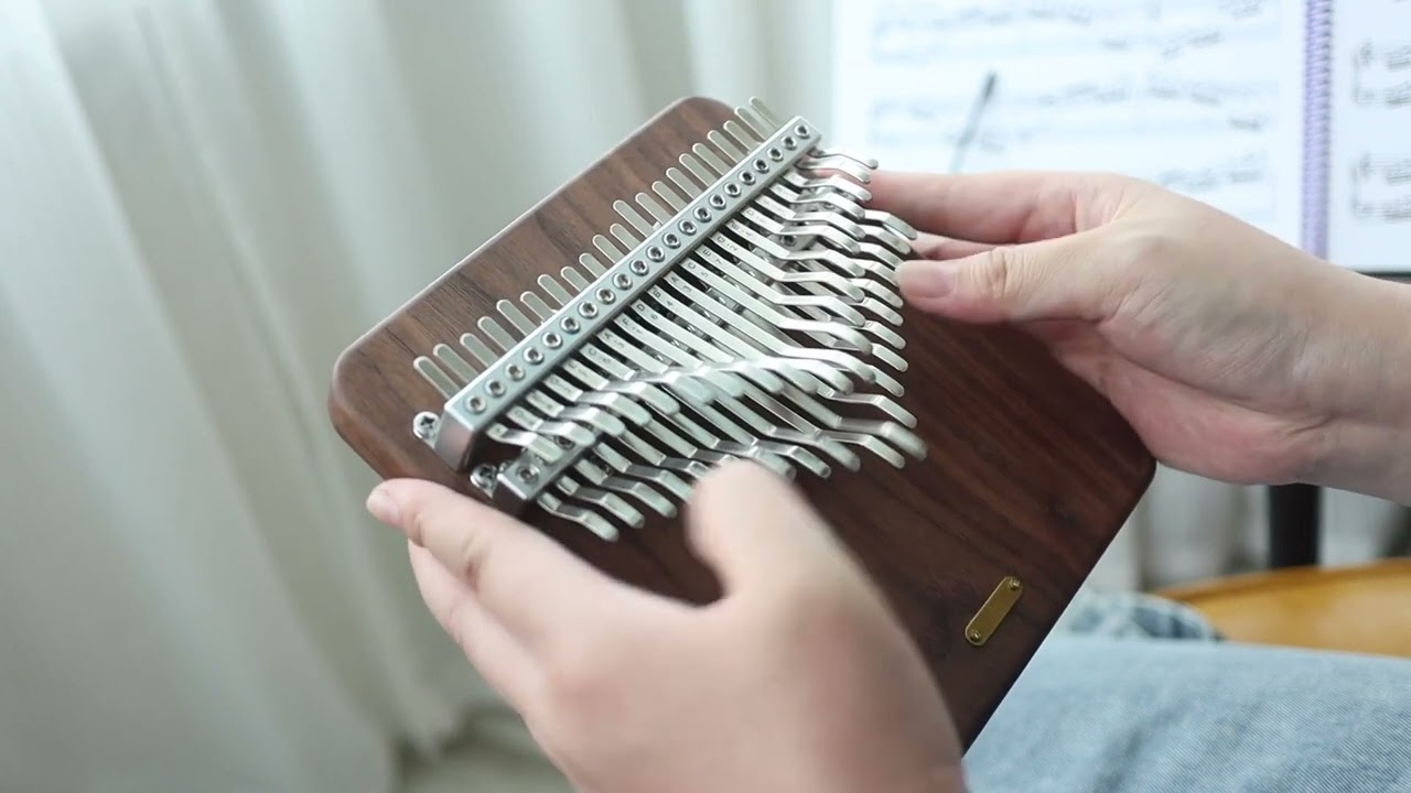 For Elise  kalimba cober 42keys